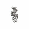Dragon temporary tattoo sticker, waterproof magic tattoo, lasts up to 15 days, fake tattoo, semi-permanent tattoo